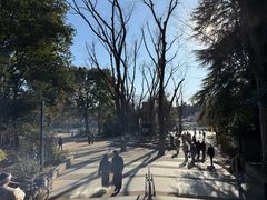 -井之头恩赐公园