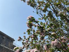 -齐白石旧居纪念馆