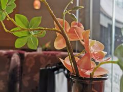 -哈根达斯(宁波和义店)