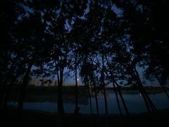-丁香湖公园