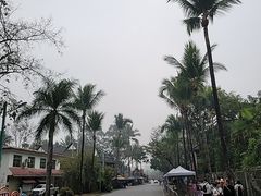 -西双版纳傣族园