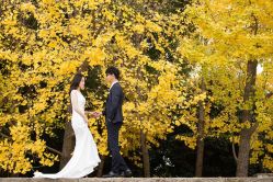 点击看大图 -太郎花子婚纱摄影艺术中心