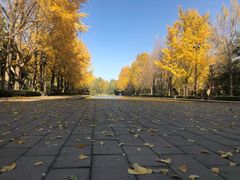 -玲珑塔公园