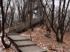 -帽儿山国家森林公园