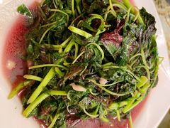 清炒米苋-新聚丰菜馆(太监弄店)
