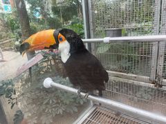 -南宫五洲植物乐园