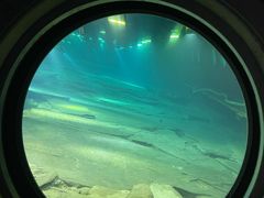 -白鹤梁水下博物馆