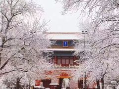 -为公商旅酒店(北京大学口腔医院魏公村总院店)