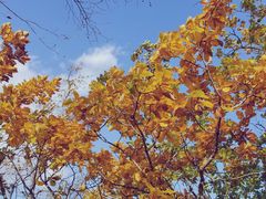 -帽儿山国家森林公园