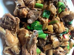 现杀果园鸡—黄焖鸡-生态苑农庄(十里画廊遇龙河店)