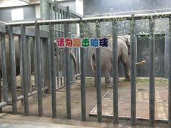 -无锡动物园·太湖欢乐园