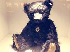 -成都泰迪熊博物馆