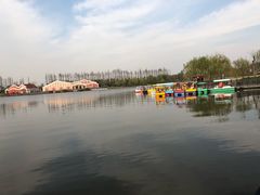 -上海长兴岛郊野公园