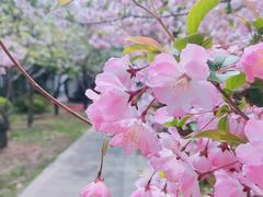 -清晏园