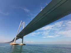 -招商蛇口邮轮母港(观光客运)