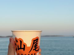 -汕尾风车岛