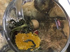 -清之口·东乡鸡自助饺子(经二路店)