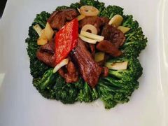 -欢乐海岸美食联盟