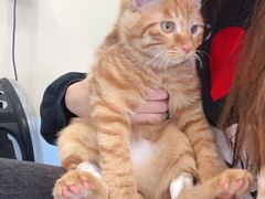 -萌兽医馆·犬猫专科·眼科中心·宠物医院(朝阳门分院)