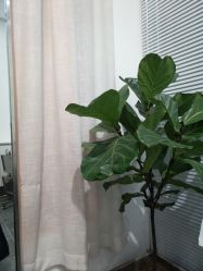-Moyue HAIR SALON