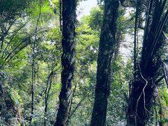 -七仙岭温泉国家森林公园