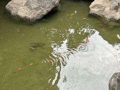 -萧邦音乐会所KTV·蒸汽活海鲜自助(福田店)