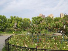 -堤角公园