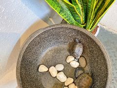 -老北京私房菜(798店)