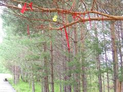 -北极村旅游风景区