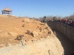 -石家庄市动物园