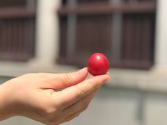 -天津津利华酒店