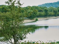 -羊山湖公园