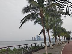 -万绿园