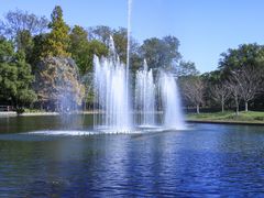 -上海共青森林公园