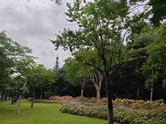 -海珠湖公园