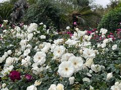 -人民公园(罗湖区)