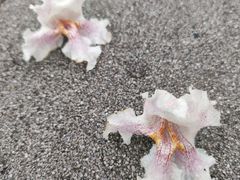 -漕溪路(地铁站)