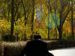 -廊坊文化艺术中心