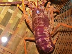 -拉完海鲜大排档(温岭店)