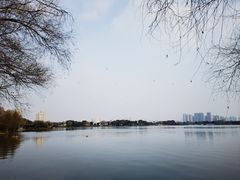 -高子水居