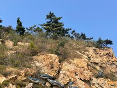 -棒棰岛宾馆景区