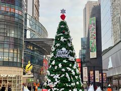 -大悦城(沈阳中街店)