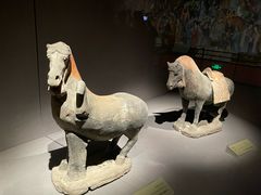 -大同市博物馆
