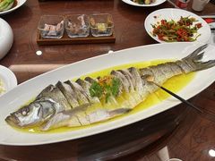 -鲁宴·鲁煨黄河生态大鲤鱼(月坛店)