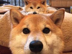 -渝和喵叔米线(南坪万达店)