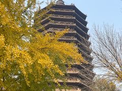 -玲珑塔公园