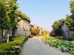 -万源龙顺度假庄园生态观光园