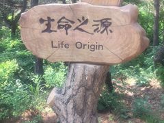 -燕窝岭