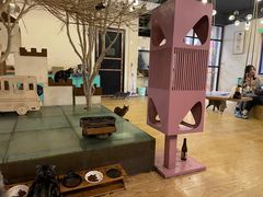 -萌喵咖啡屋(人民东路4号口M16商铺店)