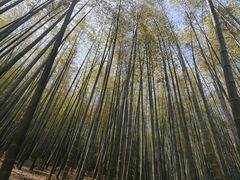 -南北湖风景区